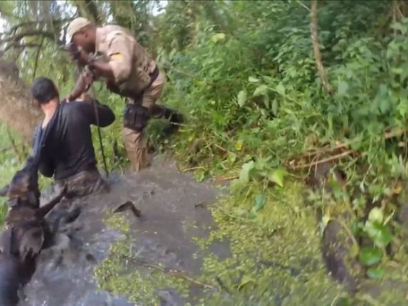 Cão Brutus brilha e não dá tréguas a assaltantes em Santa Catarina; VEJA VÍDEO - foto 3