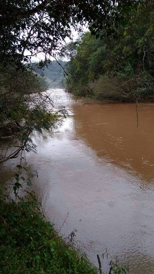 Polícia faz buscas a motorista de carro encontrado submerso em rio, em
Getúlio Vargas - foto 7