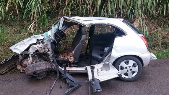 Motorista morreu após colisão na BR-282 em Chapecó neste domingo. Na BR-101, motociclista foi atropelado após carreta tombar