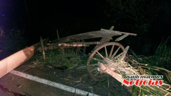 Homem morre atropelado na RSC 472 em Porto Lucena - foto 4