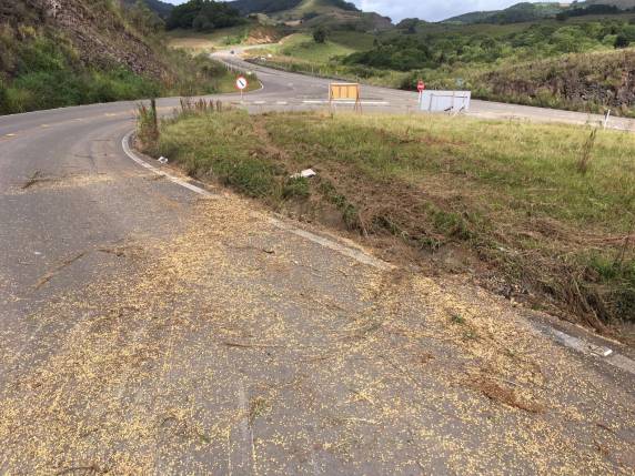 Caminhoneiro de
Santo Ângelo morre em acidente na RSC-153 - foto 3