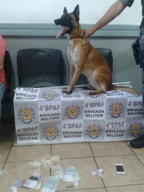 Brigada Militar prende dois homens por tráfico de drogas em Santa Rosa - foto 3