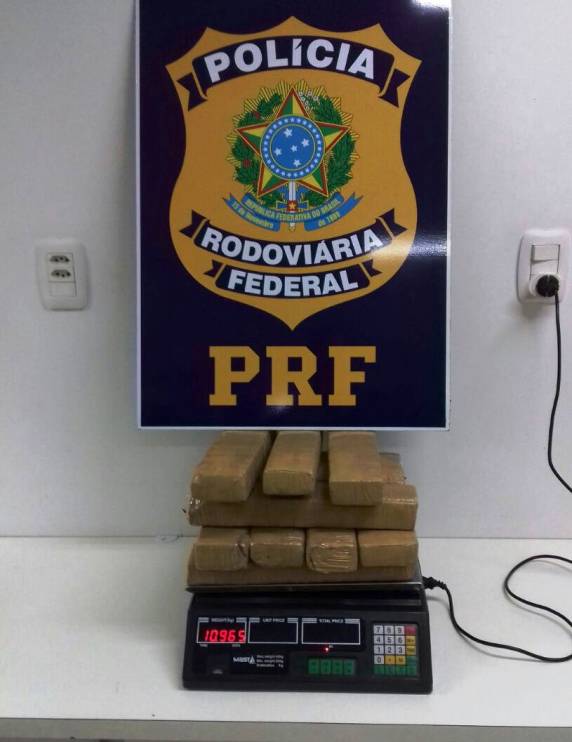 Cão farejador ''Baster''
da PRF localiza quase 11 kg de maconha na BR 163 em Guaraciaba - foto 3