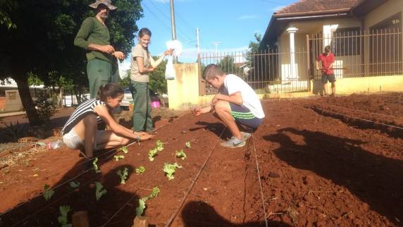 Projeto Pelotão Mirim desenvolve horta comunitária - foto 6