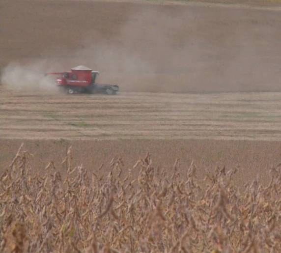 Produtores improvisaram silos de plástico para 

armazenar os grãos. Cerealista reclama do tamanho do Porto de Rio Grande, que não recebe dragagem no canal de navegação desde 2012