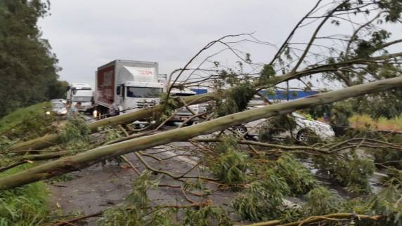 Temporal causa
prejuízos em diversas regiões de SC - foto 4