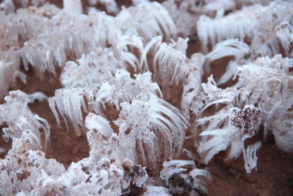 Bom Jardim da Serra teve a temperatura mais 

baixa do ano no país até agora, com -4,9ºC