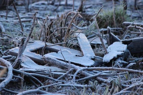 Cidades de SC registram temperatura abaixo de 0ºC e geada em SC - foto 6