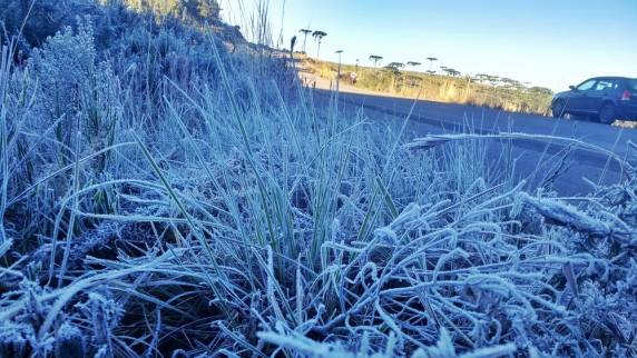 Cidades de SC registram temperatura abaixo de 0ºC e geada em SC - foto 4