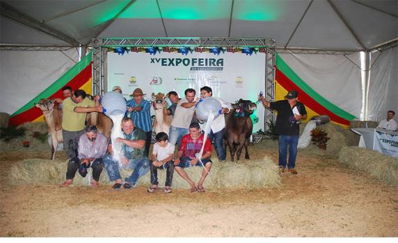 Qualidade genética e excelência nos concursos morfológico e leiteiro são 

destaque; Veja vídeo - foto 2