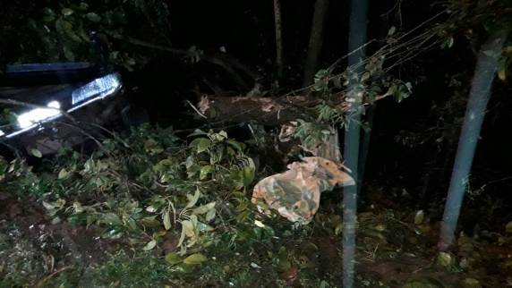O acidente ocorreu no trecho entre o Batalhão da Brigada Militar e o campus da Unijuí.