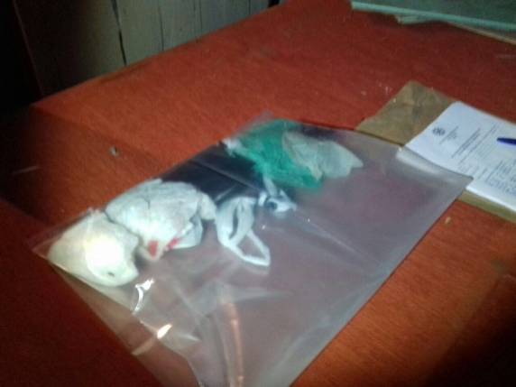 VÍDEO: Operação Resposta à Sociedade é deflagrada em Ijuí - foto 8