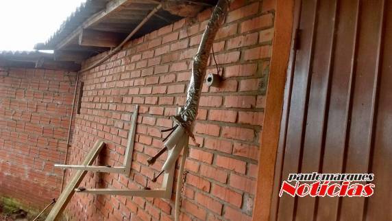 Escola Caldas Junior de 

Alegria foi alvo de furto arrombamento - foto 3