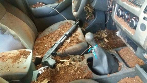 Caminhonete roubada em Passo Fundo é usada em 

assalto e confronto com polícia no Paraná - foto 2