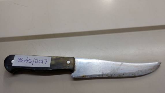 Soldado da BM é morto com golpe de faca 

desferido por uma mulher em Campina das Missões - foto 4