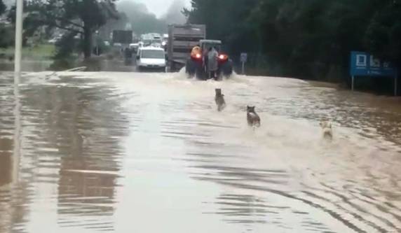 Alagamentos e quedas de barreiras causam interdições em rodovias de SC - foto 2