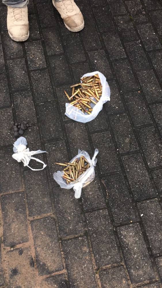 Ação conjunta da PC, PF, RF e PRF resulta na
segunda maior apreensão de ''maconha'' na história de SC - foto 4