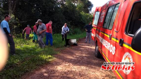 Mulher fica ferida depois de bater com veículo contra uma árvore, em Três de
Maio - foto 4