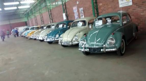 Grupo Antigos de Três de Maio presente em encontro em Passo Fundo - foto 8