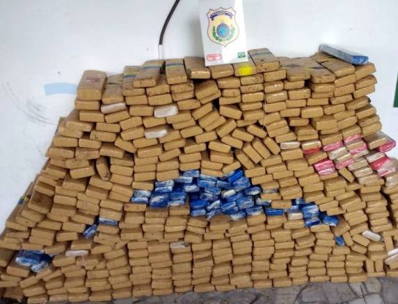 PRF apreende 850 kg de maconha na BR 282 em Rancho Queimado - foto 3