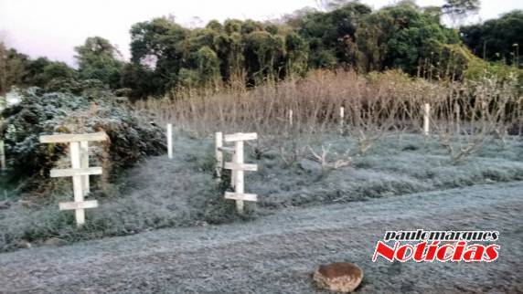 RS amanhece abaixo de zero nesta terça-feira - foto 7