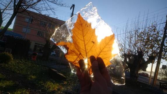 Com -8,8ºC, cidade de SC volta a ter o dia mais frio de
2017 - foto 3