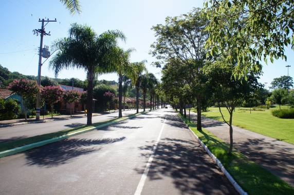 Prefeitura de SJI Investe em embelezamento do Município - foto 8