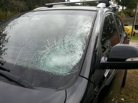 Motoristas fogem após atropelar pedestres na SC-402 em
Florianópolis - foto 2