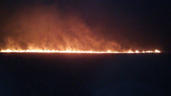 Fogo atinge 15 hectares de vegetação em Água Doce - foto 2