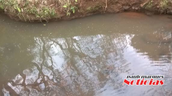 Munícipe denúncia descarte de dejetos no Lajeado Cachoeira - foto 2