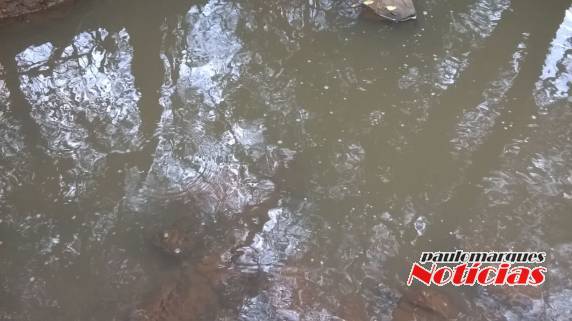 Munícipe denúncia descarte de dejetos no Lajeado Cachoeira - foto 3