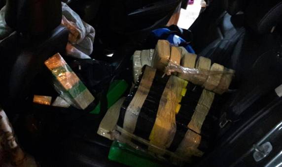 Ação conjunta apreende 440 kg de maconha e recupera carro roubado na BR 101 em Barra Velha - foto 4