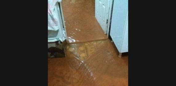 Chuva volta a causar
prejuízos no Extremo Oeste de SC - foto 4