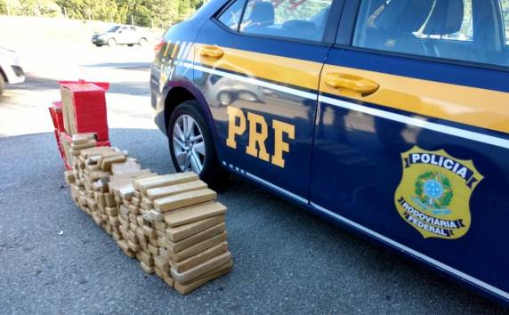 Ação conjunta PRF e Polícia Civil apreende 178 kg de maconha da BR 101 em Biguaçu - foto 3