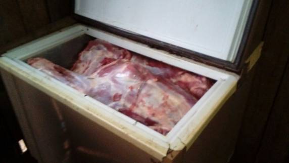 Abigeatários de Santo Ângelo são presos em Catuípe - foto 3
