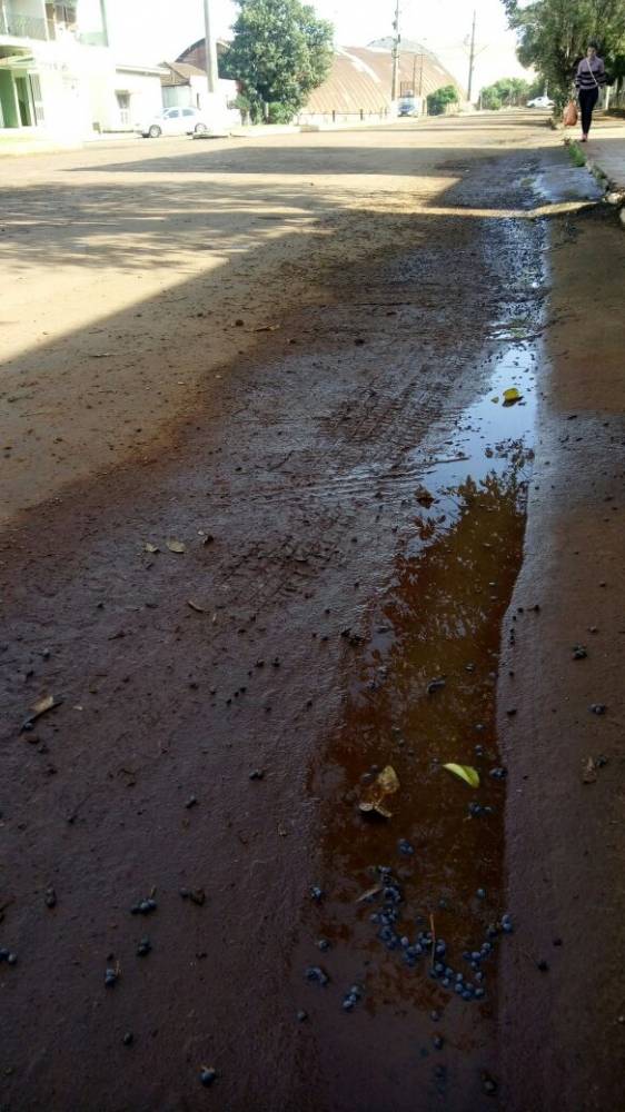 Morador de Independência espoe situação da principal avenida da cidade - foto 2