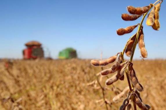 Previsão é da equipe técnica da Secretaria da Agricultura, Pecuária e Irrigação do Estado, que prevê tempo bom para a safra 

de verão