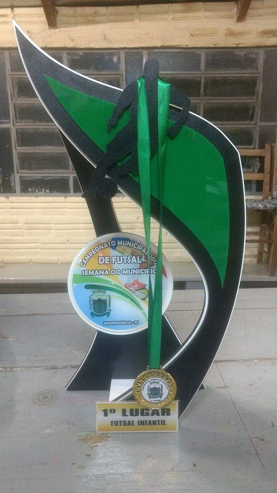 Pelotão Mirim conquista título na
categoria Infantil em Independência - foto 2