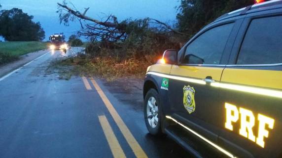Temporal causa estragos e uma morte no RS - foto 4
