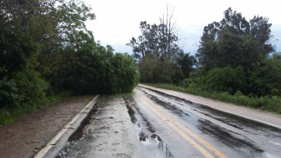 Temporal causa estragos e uma morte no RS - foto 3