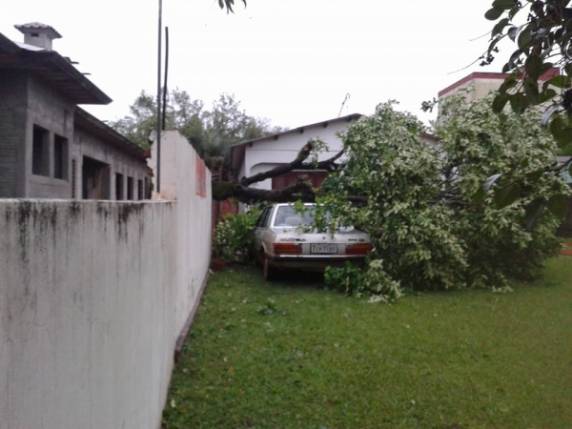 Bossoroca tem 

casas destelhadas, e árvores caídas em virtude do temporal - foto 2