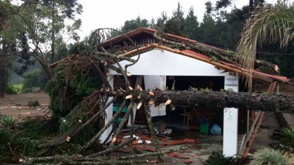 Árvore cai e racha
carro ao meio em SC durante tempestade - foto 3