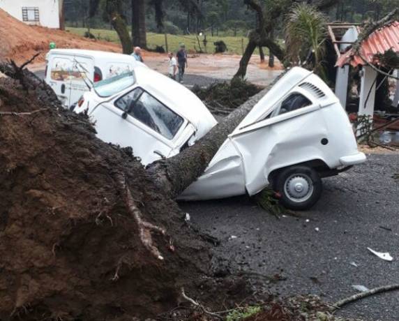 Árvore cai e racha
carro ao meio em SC durante tempestade - foto 2