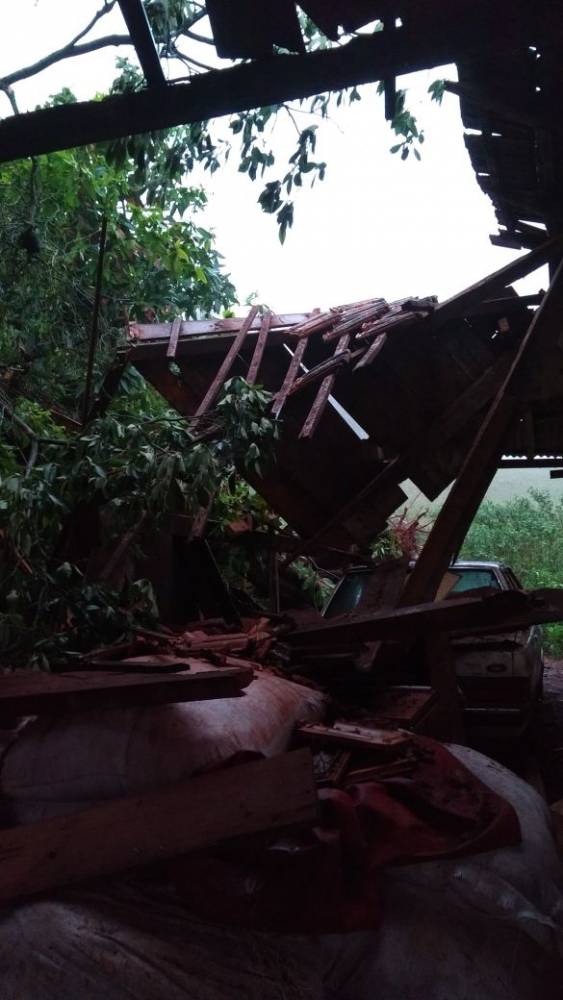 Rajada de veto derruba árvore de grande porte sobre um galpão, em Manchinha - foto 2