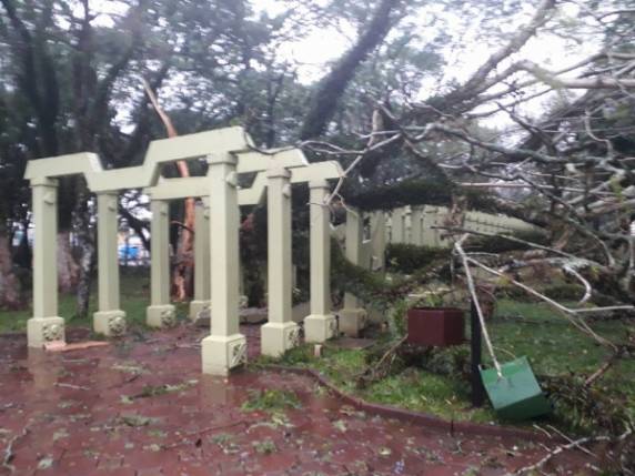 Temporal na madrugada volta a atingir Santo Ângelo e a região - foto 2