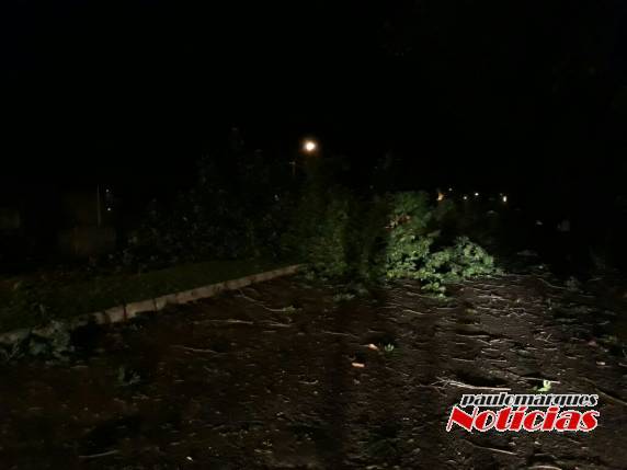 Principal avenida de Três de Maio ficou parcialmente interrompida após o temporal - foto 2