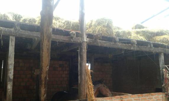 Cobertura de galpão
ficou completamente destruída no interior de Boa Vista do Buricá - foto 5