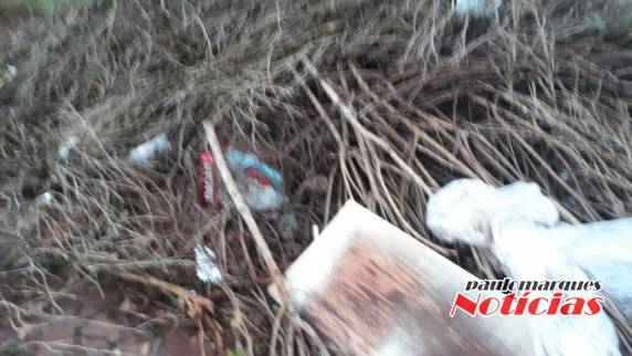 Lixo é misturado em montes de galhos nas ruas de Três de Maio - foto 3