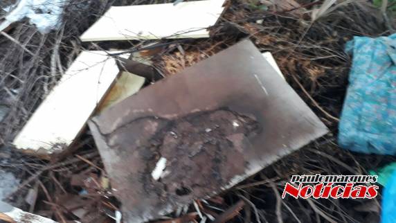 Lixo é misturado em montes de galhos nas ruas de Três de Maio - foto 2