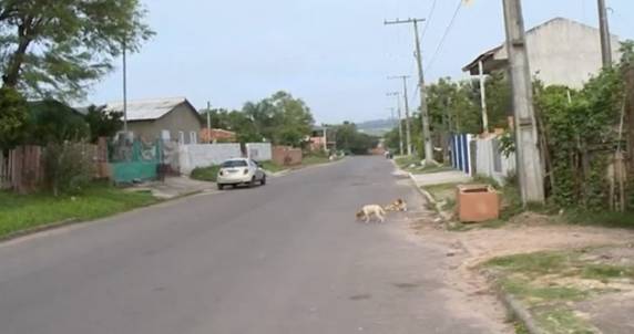 Wellington Flores da Luz, 18 anos, tinha apenas permissão para dirigir 

motocicleta